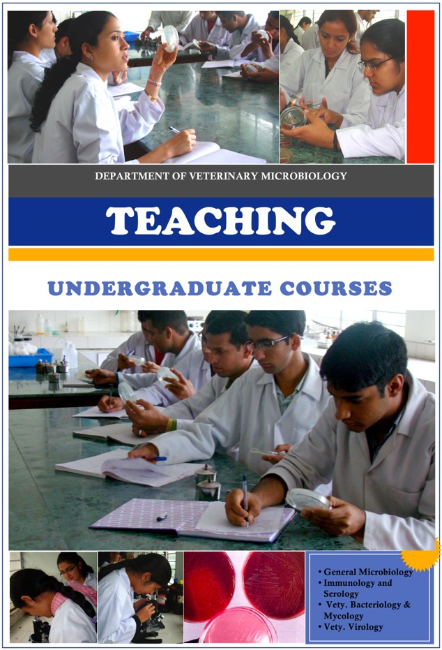 18. TEACHING-UG