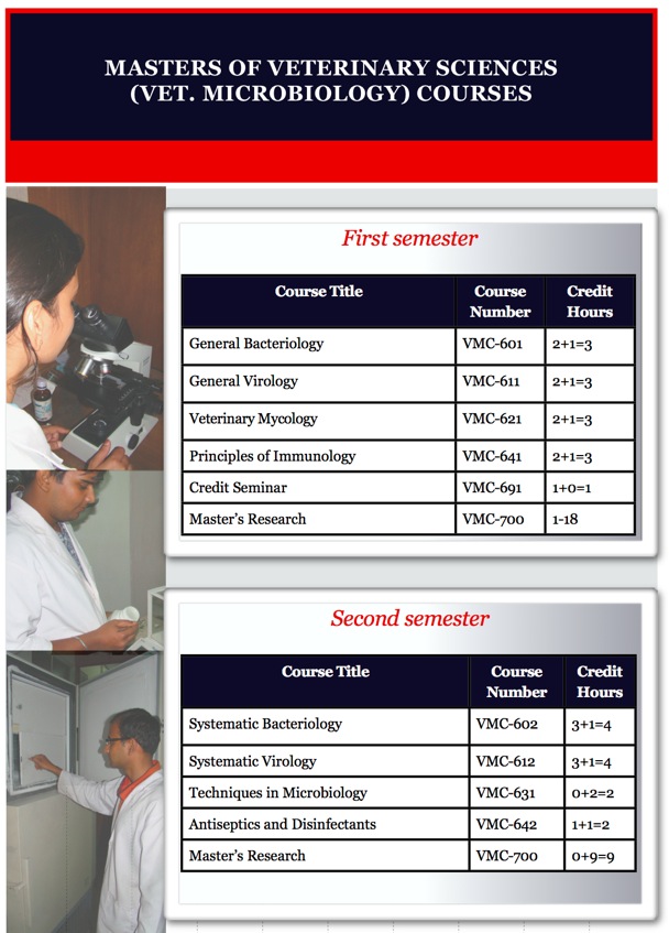 7. PG-Courses