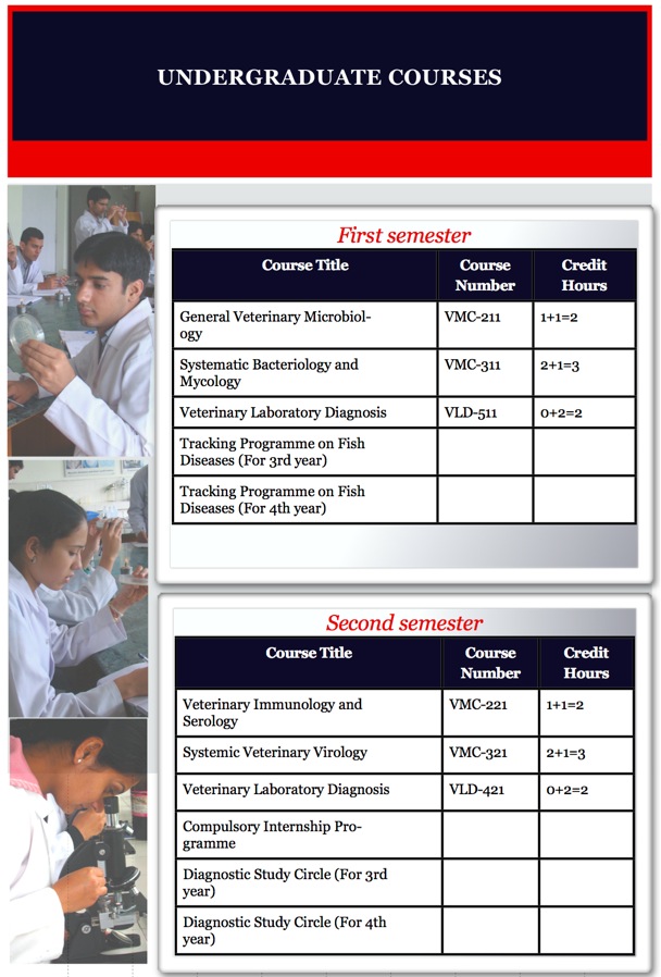 6. UG-Courses