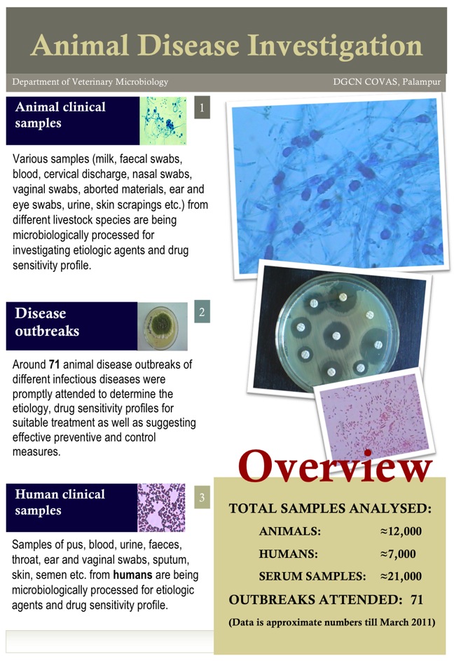 11. Disease investigations