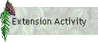 Extension Activity