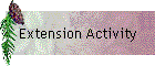 Extension Activity