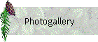 Photogallery