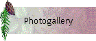 Photogallery