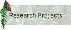 Research Projects