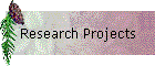 Research Projects