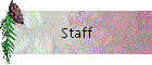 Staff